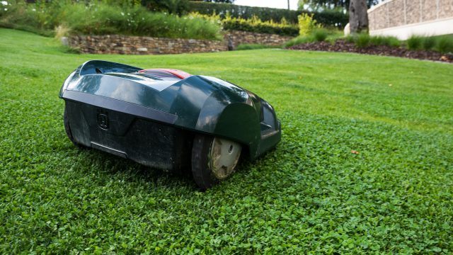 lawn-mower-414249_1920